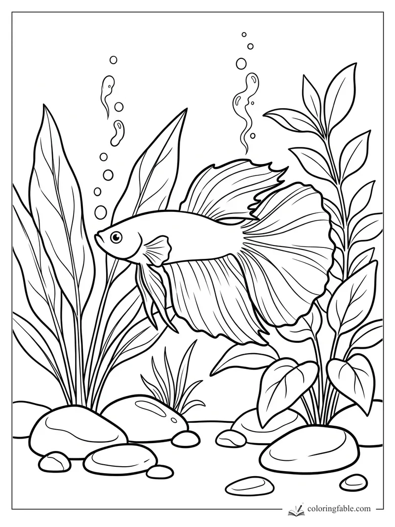 Betta fish with flowing fins swimming among tall aquarium plants, bubbles, and smooth rocks