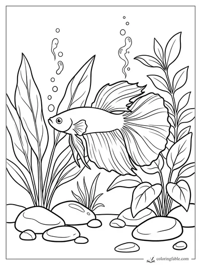 Betta fish with flowing fins swimming among tall aquarium plants, bubbles, and smooth rocks