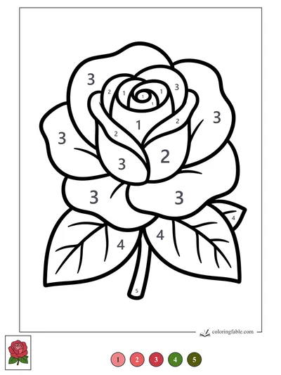 Big Blooming Rose with Two Leaves — color by number