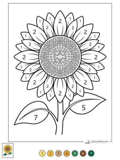 Big Sunflower With Seed Spiral — color by number