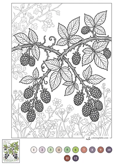 Blackberry Bramble with Wildflower Underbrush — color by number