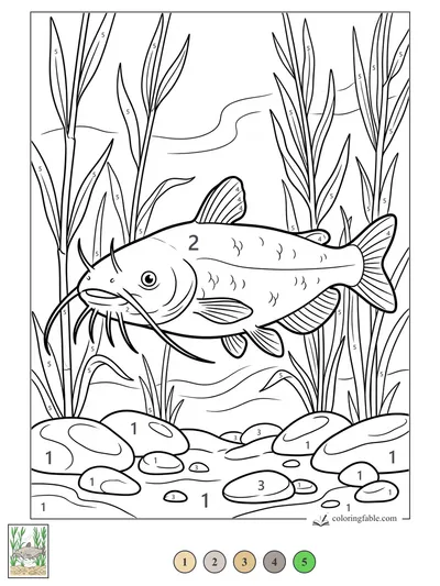 Catfish Gliding Through Tall River Grass — color by number