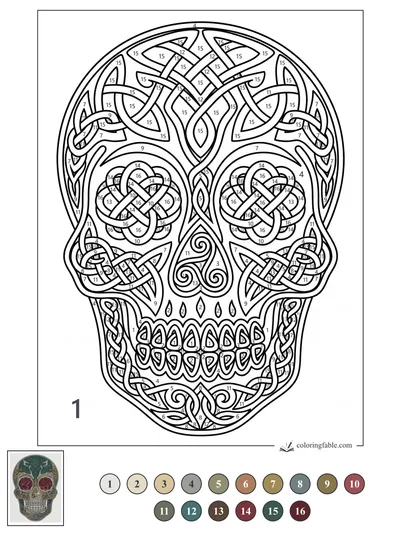 Celtic Knot Sugar Skull — color by number