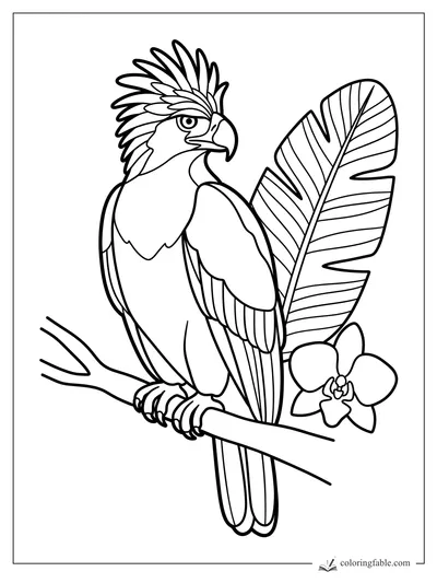 Crested eagle perched on a branch beside a banana leaf and orchid flower coloring page