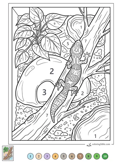 Curious Gecko on a Terrarium Branch — color by number