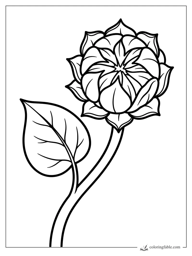 Minimalist sunflower coloring page with layered petals, a curved stem, and one large veined leaf.