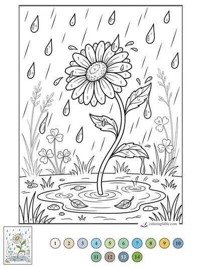 Daisy Bending Over a Rain Puddle — color by number