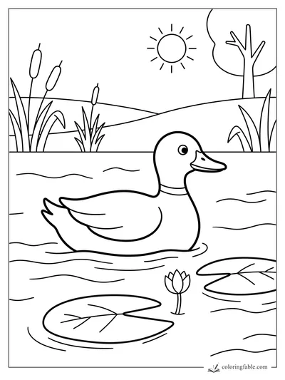 Duck coloring pages — sample drawing
