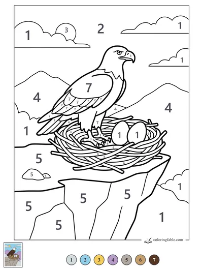 Eagle Watching Over Two Nest Eggs — color by number
