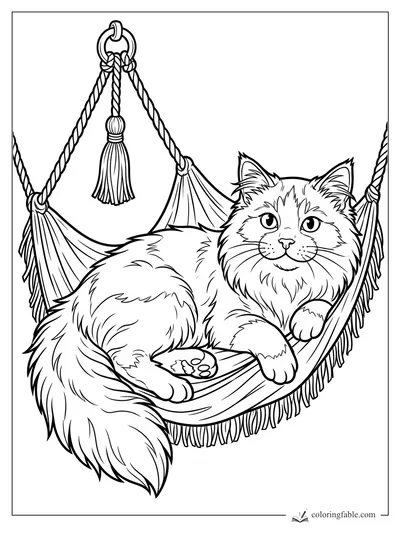 Fluffy cat resting in a rope hammock with tassels, fringe, and a hanging ring