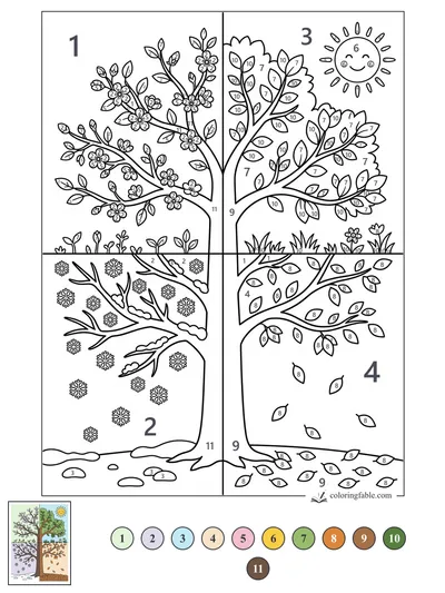 Four Seasons Tree Coloring Page — color by number