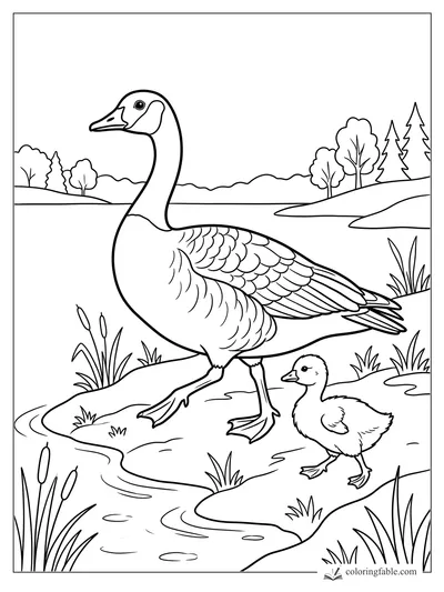 Goose and gosling walking beside cattails on a winding marsh path with trees in the distance