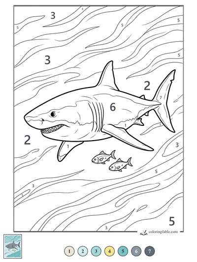Great White Shark Cruising with Two Fish — color by number
