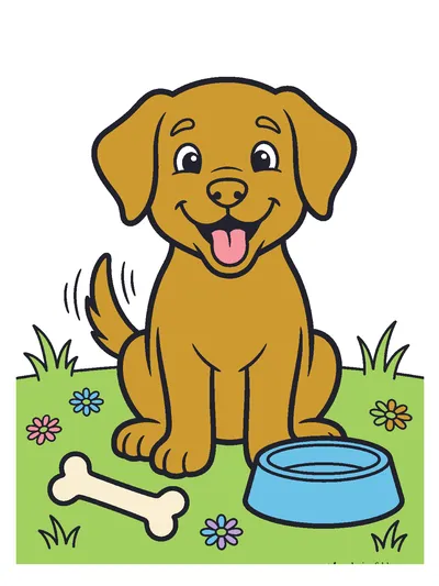Finished color by number solution