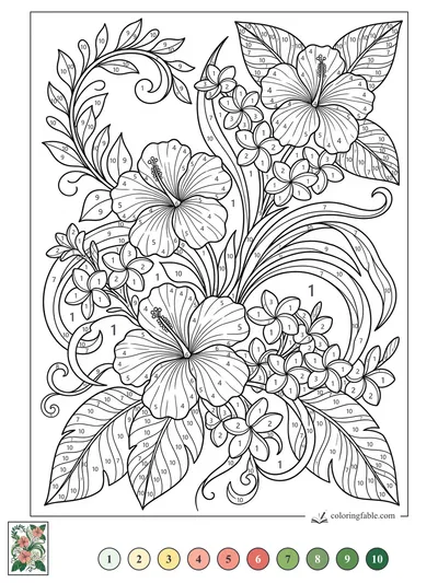 Hibiscus and Plumeria Summer Flourish — color by number