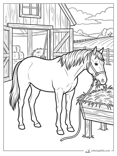 Horse in a halter eating hay beside an open barn and wooden fence