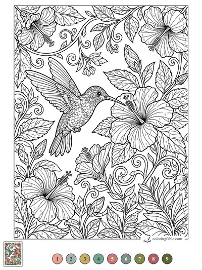 Hummingbird Among Curling Hibiscus Vines — color by number