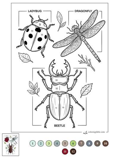 Labeled Ladybug, Dragonfly, and Beetle Chart — color by number