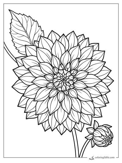 Realistic dahlia coloring page with layered pointed petals, a serrated leaf, curved stems, and a closed bud