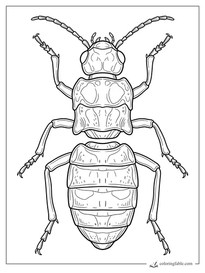 Detailed longhorn beetle coloring page with segmented antennae, raised claws, and patterned shell plates.
