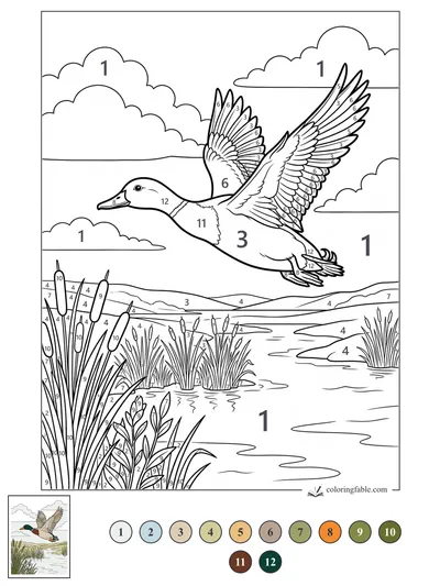 Mallard Flying Over a Cattail Wetland — color by number