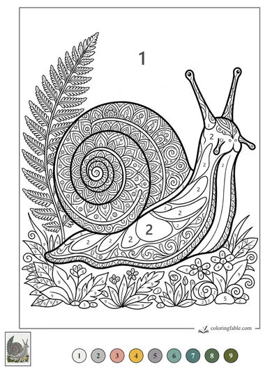 Mandala Snail Beneath a Fern — color by number