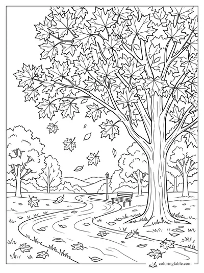 Maple tree coloring page with falling leaves, winding park path, bench, lamp post, and distant trees