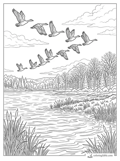 Realistic fall coloring page of geese flying over a marsh lake with cattails, reeds, clouds, and bare trees.