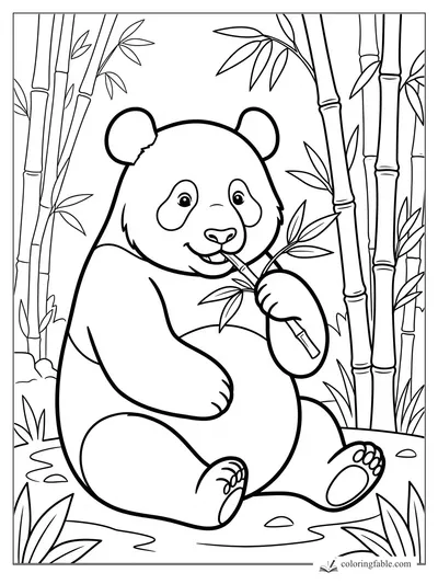 Panda coloring pages — sample drawing