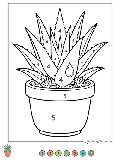 Potted Aloe Succulent with Pebbles — color by number
