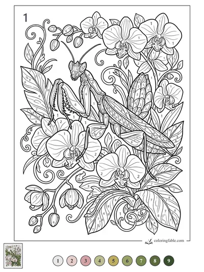 Praying Mantis Among Orchids and Curling Vines — color by number