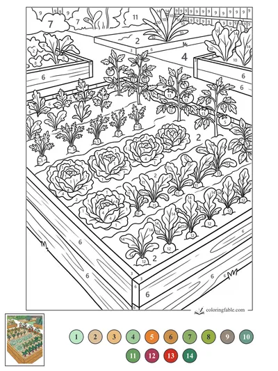 Raised Bed Vegetable Garden — color by number