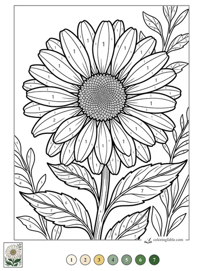 Realistic Daisy with Layered Petals and Leafy Stems — color by number
