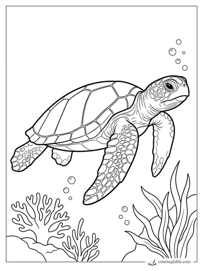 Realistic sea turtle swimming above coral, sea grass, and rising bubbles coloring page
