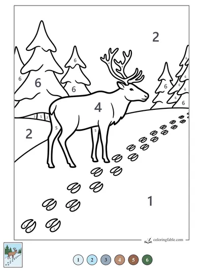 Reindeer Pausing by Snowy Hoofprints — color by number