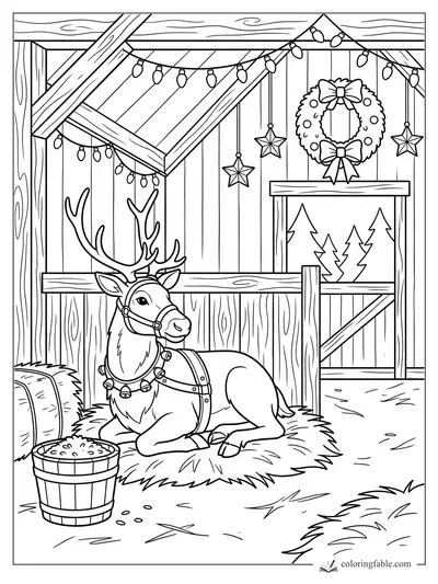 Reindeer with bell harness resting on hay in a decorated stable with lights, wreath, stars, and feed bucket.
