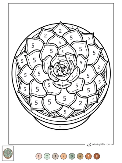 Rosette Succulent in a Round Pot — color by number