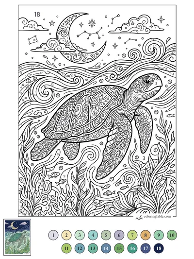 Sea Turtle Beneath a Crescent Moon — color by number