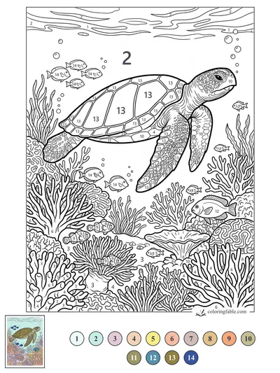 Sea Turtle Gliding Over a Busy Coral Reef — color by number