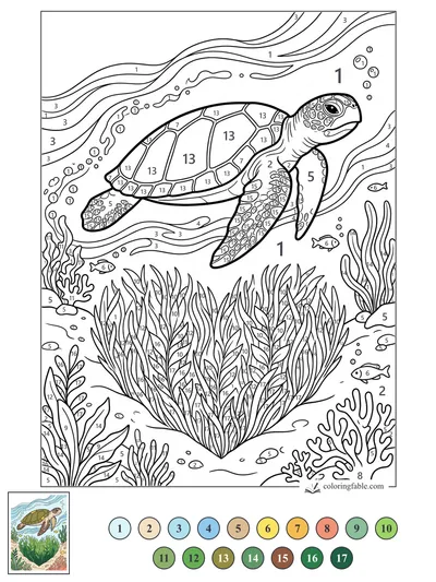 Sea Turtle Gliding Over a Heart of Seagrass — color by number