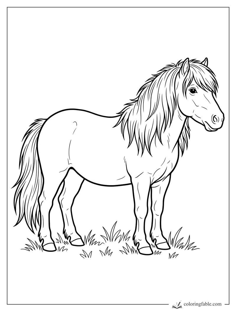 Realistic pony standing in tufts of grass with a long shaggy mane, full tail, and head turned right