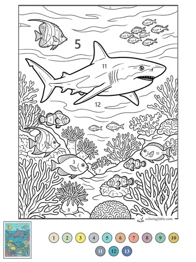 Shark Cruising Through a Busy Coral Reef — color by number