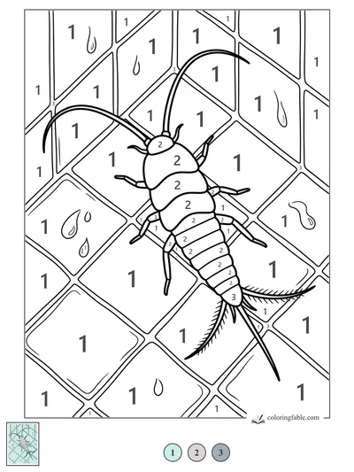 Silverfish Crossing Wet Bathroom Tiles — color by number