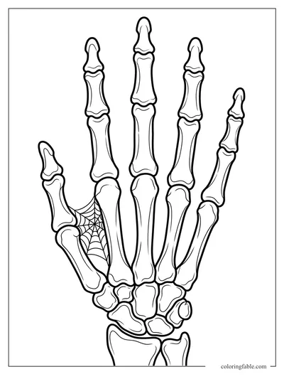 Realistic skeleton hand coloring page with long finger bones and a small web between the thumb and palm.