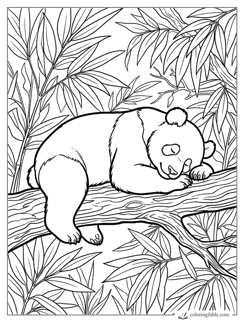 Sleeping panda stretched on a tree branch among bamboo leaves, medium difficulty coloring page
