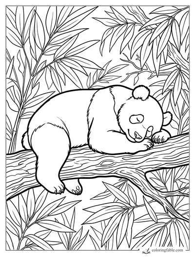 Sleeping panda stretched on a tree branch among bamboo leaves, medium difficulty coloring page