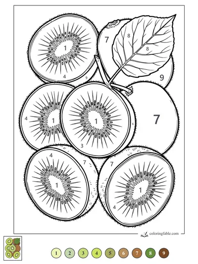 Sliced Kiwis with a Veined Leaf — color by number