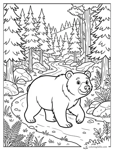 Bear coloring pages — sample drawing