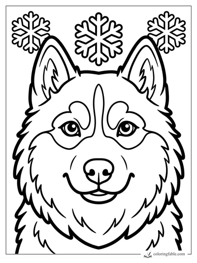Easy husky face coloring page with tall ears, fluffy cheeks, and three snowflakes above its head.