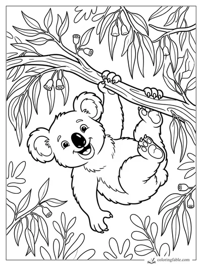 Cartoon koala hanging from a eucalyptus branch with leafy stems, gum nuts, big ears, and happy face.